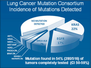 Pie chart of lung cancer mutation consortium incidence of mutations detected.